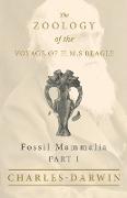 Fossil Mammalia - Part I - The Zoology of the Voyage of H.M.S Beagle , Under the Command of Captain Fitzroy - During the Years 1832 to 1836