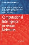 Computational Intelligence in Sensor Networks