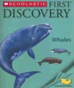 First Discovery Whales