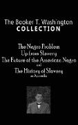 Booker T. Washington Collection