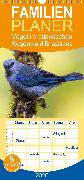Vögel im atlantischen Regenwald Brasiliens - Familienplaner hoch (Wandkalender 2020 , 21 cm x 45 cm, hoch)