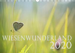 Wiesenwunderland 2020 (Wandkalender 2020 DIN A3 quer)