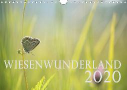 Wiesenwunderland 2020 (Wandkalender 2020 DIN A4 quer)