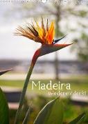 Madeira - wiederentdeckt (Wandkalender 2020 DIN A3 hoch)