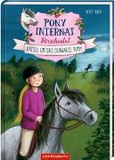 Pony-Internat Kirschental (Bd. 3 )
