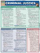 Criminal Justice: Quickstudy Laminated Reference Guide