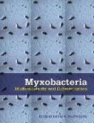 Myxobacteria: Multicellularity and Differentiation