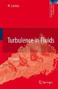 Turbulence in Fluids