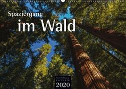 Spaziergang im Wald (Wandkalender 2020 DIN A2 quer)