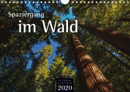 Spaziergang im Wald (Wandkalender 2020 DIN A4 quer)