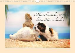 Meerschweinchen 2020, kleine Herzensbrecher (Wandkalender 2020 DIN A4 quer)