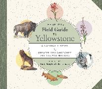 The Artist's Guide to Yellowstone
