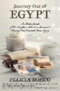 Journey Out of Egypt: A Mother's Journal of Her Daughter's Miraculous Survival and Recovery from Traumatic Brain Injury