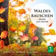 Waldesrauschen-Musik der Natur