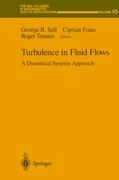 Turbulence in Fluid Flows