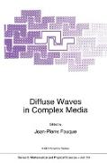 Diffuse Waves in Complex Media