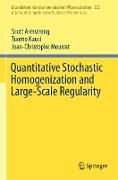 Quantitative Stochastic Homogenization and Large-Scale Regularity