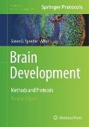 Brain Development