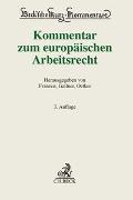 Kommentar zum europäischen Arbeitsrecht