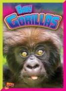 Baby Gorillas