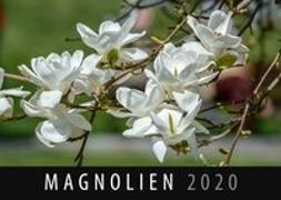 Magnolien 2020