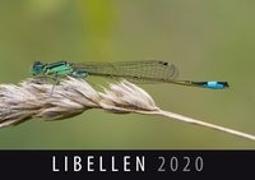 Libellen 2020