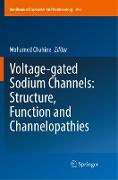 Voltage-gated Sodium Channels: Structure, Function and Channelopathies
