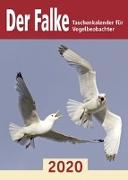 Der Falke-Taschenkalender für Vogelbeobachter 2020