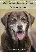 Graue Hundeschnauzen - Tierische Senioren (Tischkalender 2020 DIN A5 hoch)