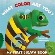 My First Jigsaw Book: What Color Are You?