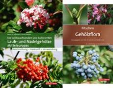 Die wildwachsenden und kultivierten Laub- und Nadelgehölze Mitteleuropas + Fitschen - Gehölzflora 13. Auflage