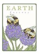 Bumblebees: Earth Forever (Boxed): Boxed Set of 6 Cards
