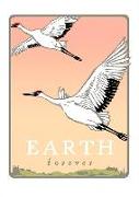 Whooping Cranes: Earth Forever: Unboxed Set of 6 Cards