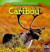 Caribou