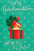 DK Weihnachten Dt hoch 22-8480