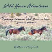 Wild Horse Adventures