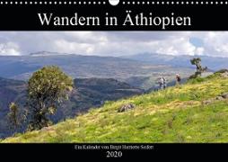 Wandern in Äthiopien (Wandkalender 2020 DIN A3 quer)