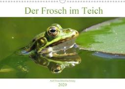 Der Frosch im Teich - auf Froschbeobachtung (Wandkalender 2020 DIN A3 quer)