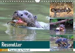 Riesenotter - Flusswölfe im Pantanal (Wandkalender 2020 DIN A4 quer)