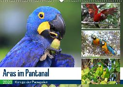 Aras im Pantanal (Wandkalender 2020 DIN A2 quer)