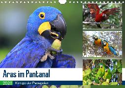 Aras im Pantanal (Wandkalender 2020 DIN A4 quer)
