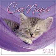 Cat Naps 2020 Mini Wall Calendar