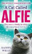 A Cat Called Alfie