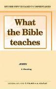 What the Bible Teaches - John