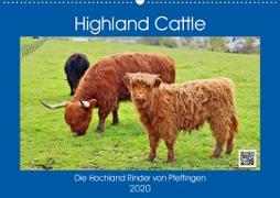 Highland Cattle, die Hochlandrinder aus Pfeffingen (Wandkalender 2020 DIN A2 quer)