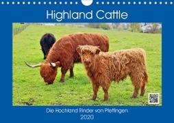 Highland Cattle, die Hochlandrinder aus Pfeffingen (Wandkalender 2020 DIN A4 quer)