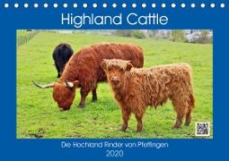 Highland Cattle, die Hochlandrinder aus Pfeffingen (Tischkalender 2020 DIN A5 quer)