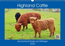 Highland Cattle, die Hochlandrinder aus Pfeffingen (Wandkalender 2020 DIN A3 quer)