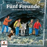 Fünf Freunde 133 und der Esel in der Tropfsteinhöhle
