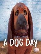 A Dog Day